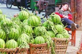 淄博吃瓜爆料事件最新进展,最新进展揭秘，真相逐渐浮出水面